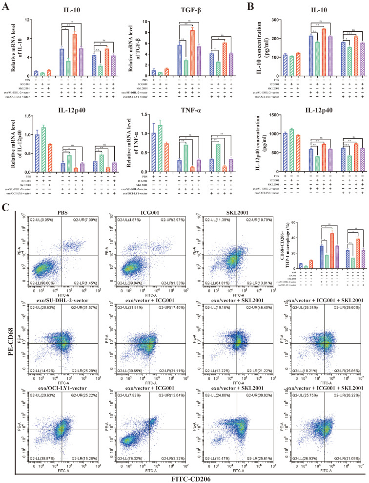 外泌体技术服务