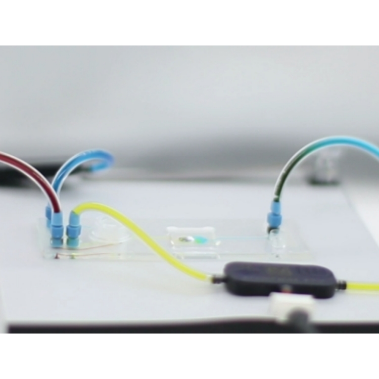 德国Bartels微型泵