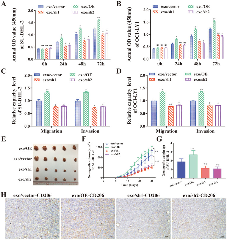 外泌体技术服务