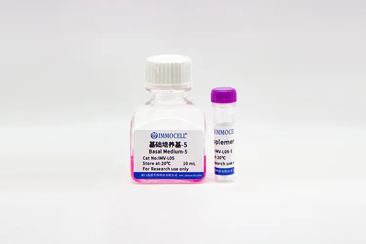 逸漠生物iPSC诱导肺类器官产品