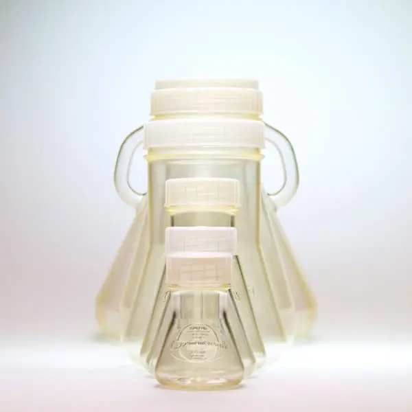 931110 THOMSON 汤姆森 细胞培养摇瓶 优化瓶三角摇瓶