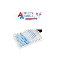 Human sCD22 Construction Kitpdf