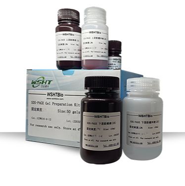 凝胶配制试剂盒10T(试用装)