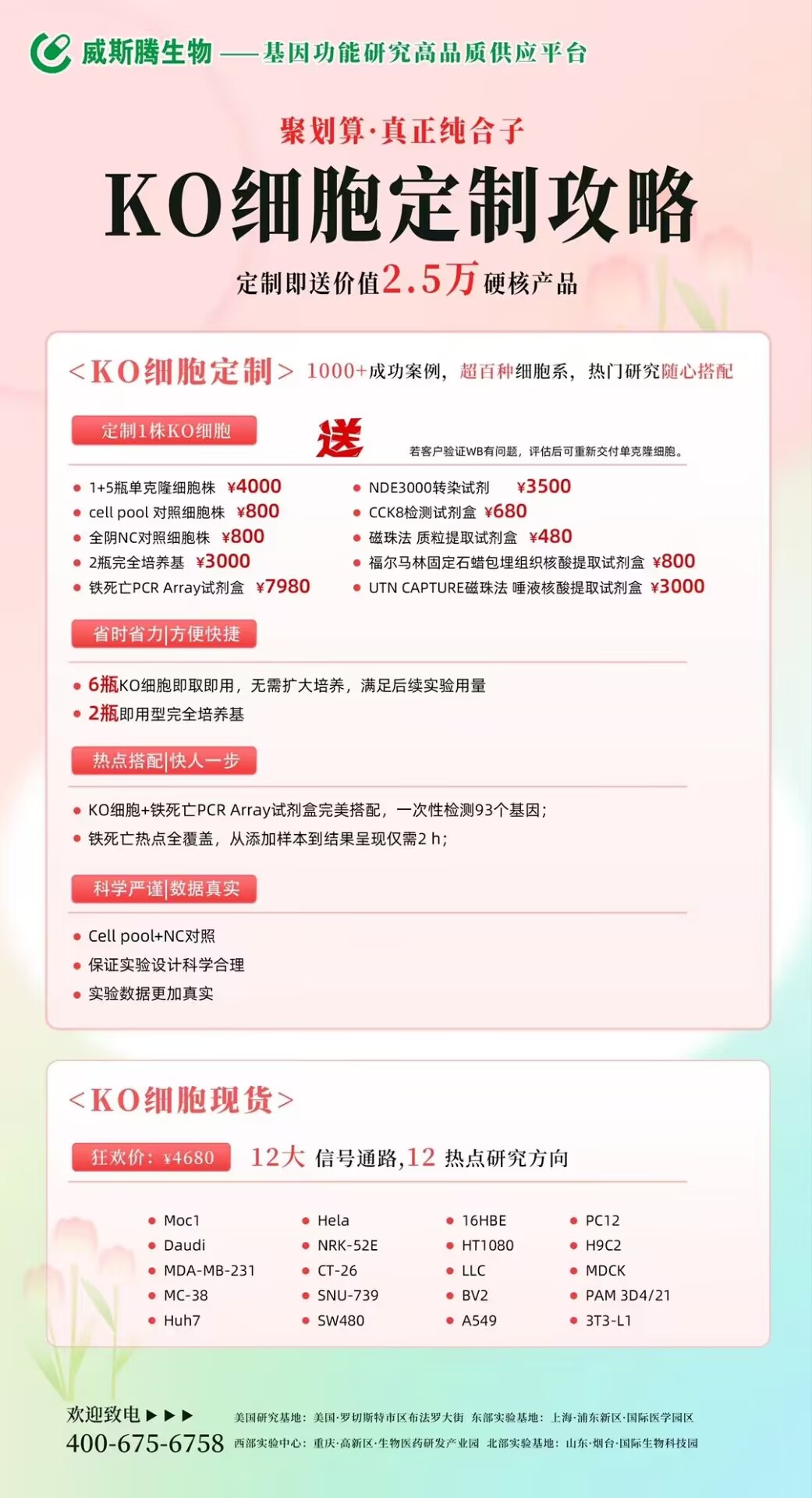 敲细胞，找威斯腾！KO 细胞定制即送价值 2.5 万硬核产品