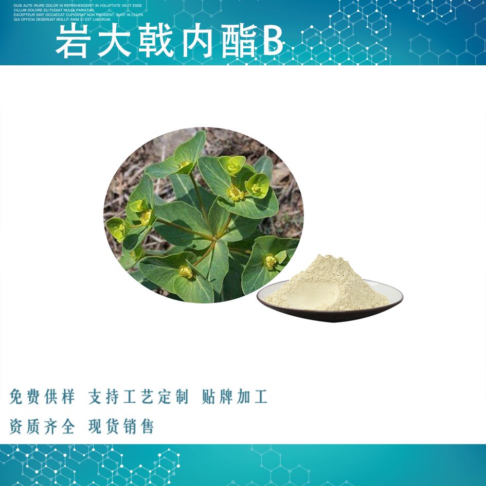 岩大戟内酯B SC