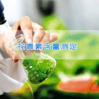 花青素含量测定