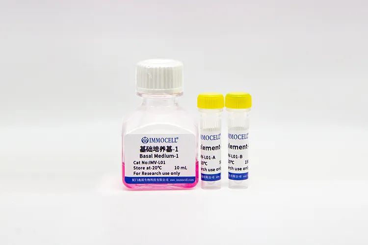 逸漠生物iPSC诱导肺类器官产品