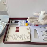 牛小泛素相关修饰蛋白2 (SUMO2) ELISA 试剂盒