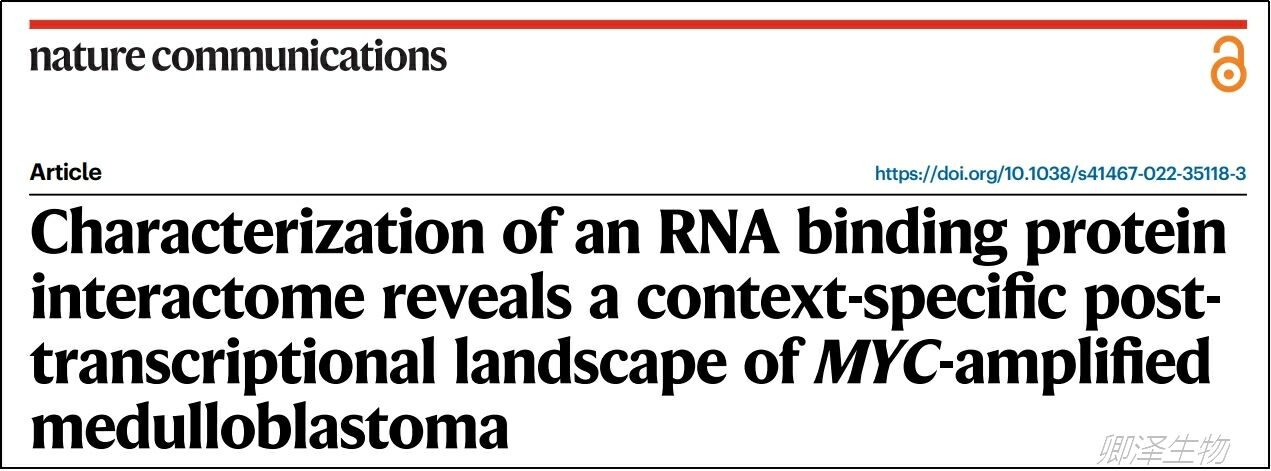 Nat Commun.| Polysome技术应用--MYC扩增的髓母细胞瘤环境特异性转录后景观