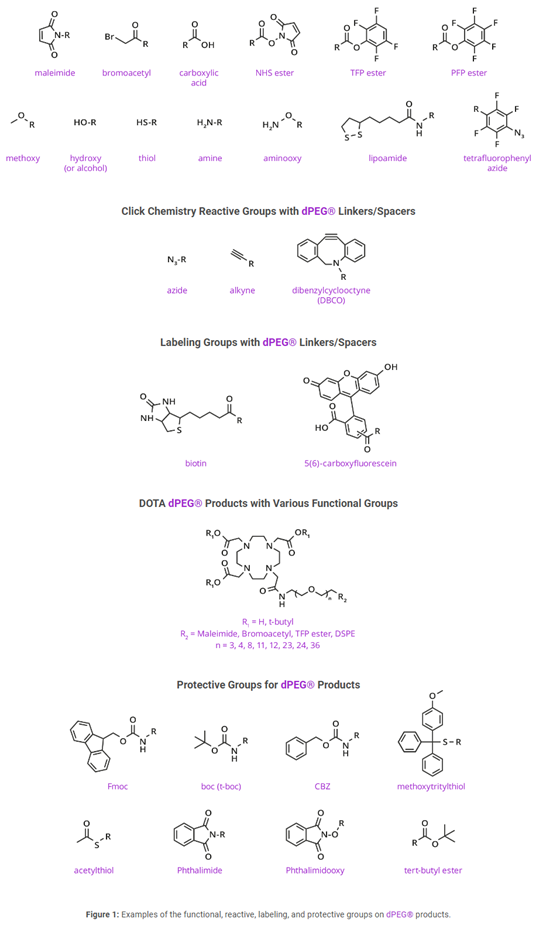 Vector Laboratories｜用于生物偶联疗法BioDesign™ dPEG® Linker连接平台