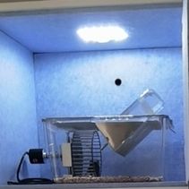 多通道大鼠主动跑轮系统