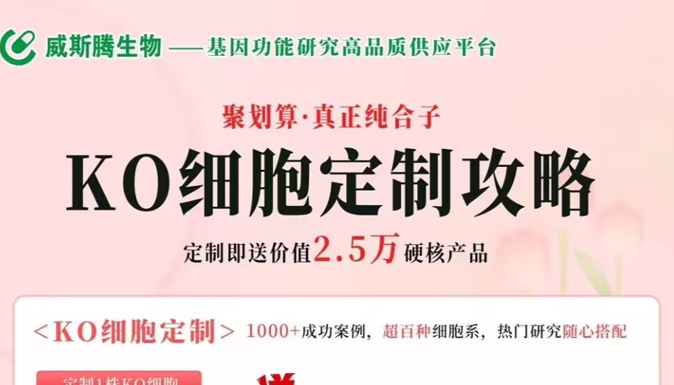 敲细胞，找威斯腾！KO 细胞定制即送价值 2.5 万硬核产品