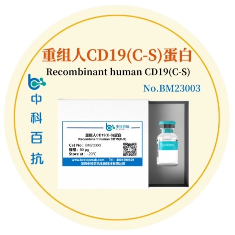 Human CD19(C-S)细胞因子