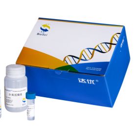 BioSci® New Flash Protein anyKD PAGE  快速蛋白凝胶试剂盒