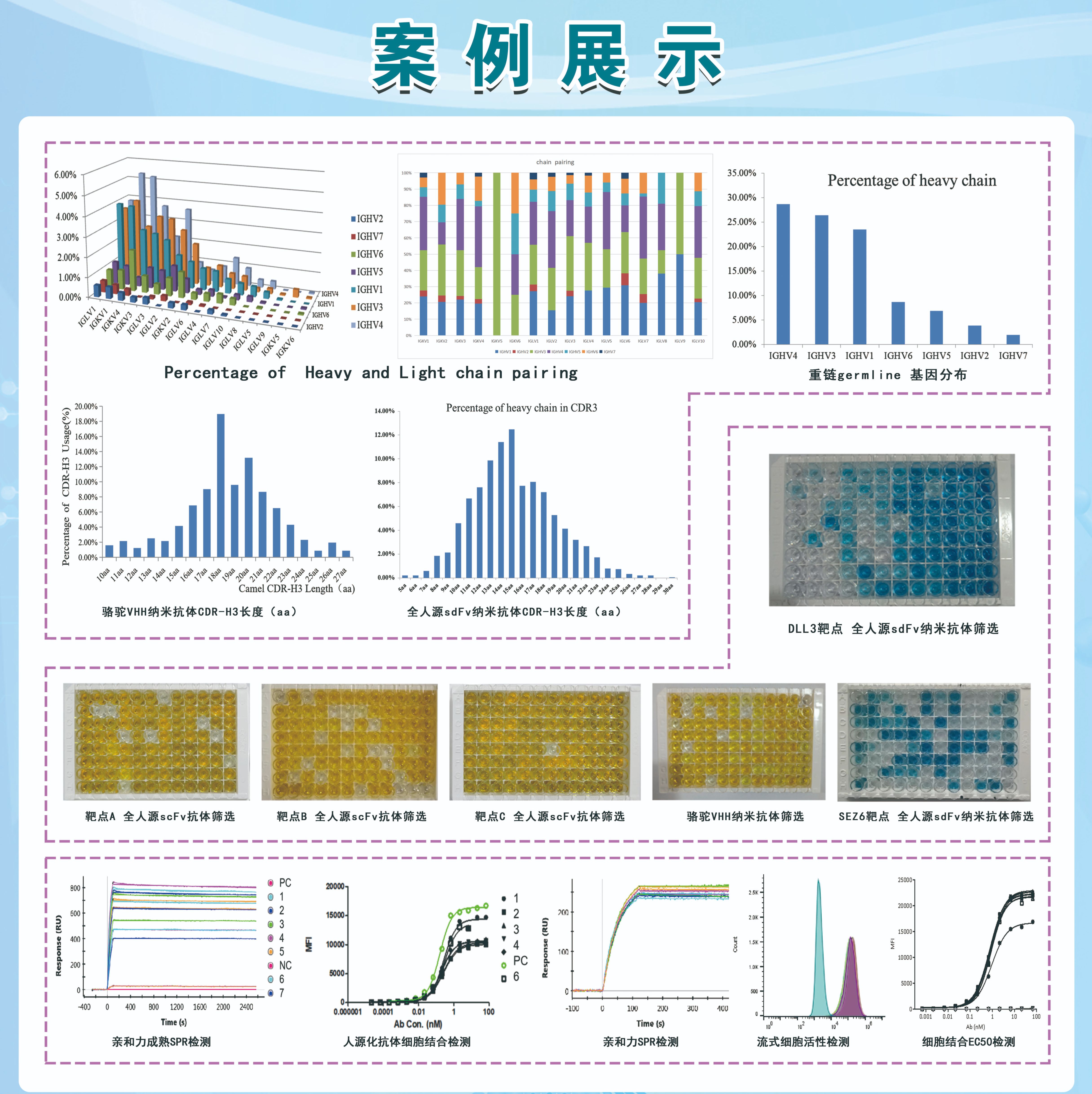 十万亿级全人源抗体库助力千靶万抗筛选