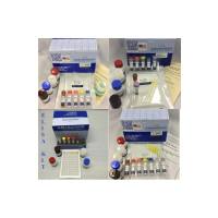 PEGylated protein ELISA Kit