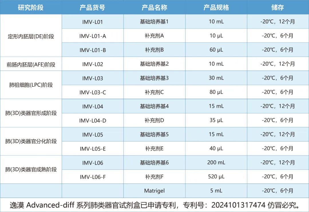 逸漠生物iPSC诱导肺类器官产品