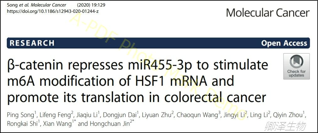Mol Cancer.| 结直肠癌中m6A表观遗传调控中Polysome profiling的技术应用
