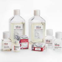 flashBAC™ ULTRA Baculovirus Expression System