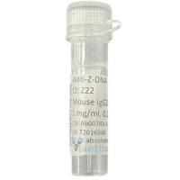 Anti-Fluorescein [4-4-20 (enhanced)]