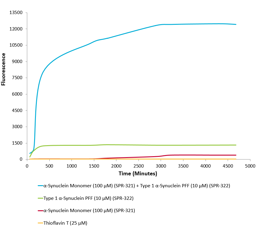 Alpha Synuclein 蛋白前体原纤维 Pre-fo