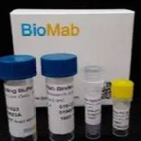 BioMab CTC Instrument Cartridge Kit