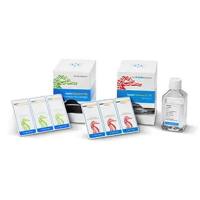 103723-100安捷伦海马试剂Agilent Seahorse XF HS Mini