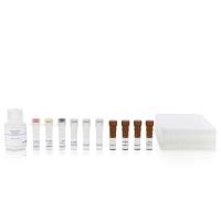 Anti-human IFN-gamma mAb (1-D1K), FITC