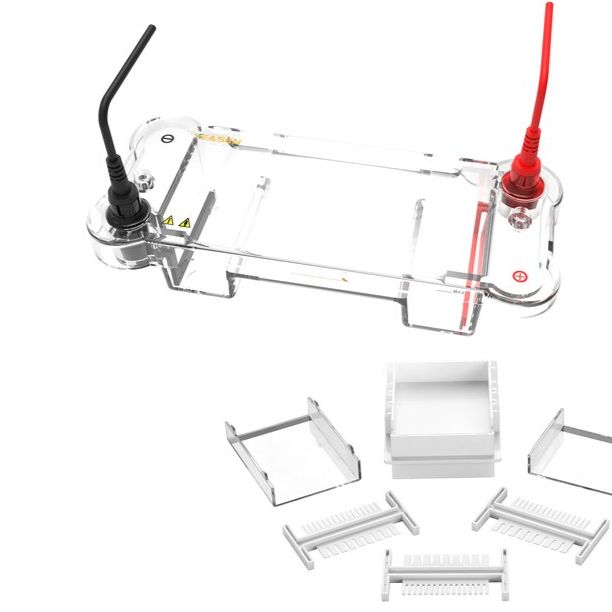 Mini水平电泳槽 HET Mini水平电泳槽