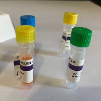 一站式柱式 miRNAOUT