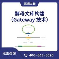 酵母文库构建（Gateway 技术）