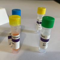 柱式血清血浆 RNAout