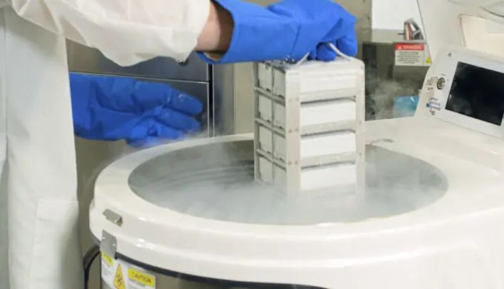 不同冻存介质与TWE对人骨髓MSC冷冻保存后功能的影响