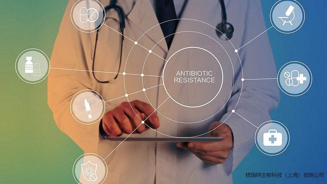 抗生素耐药性能否通过类器官模型进行测试？