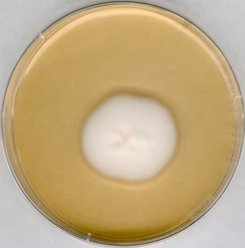 1.05438.0500 Merck 默克 GranuCul