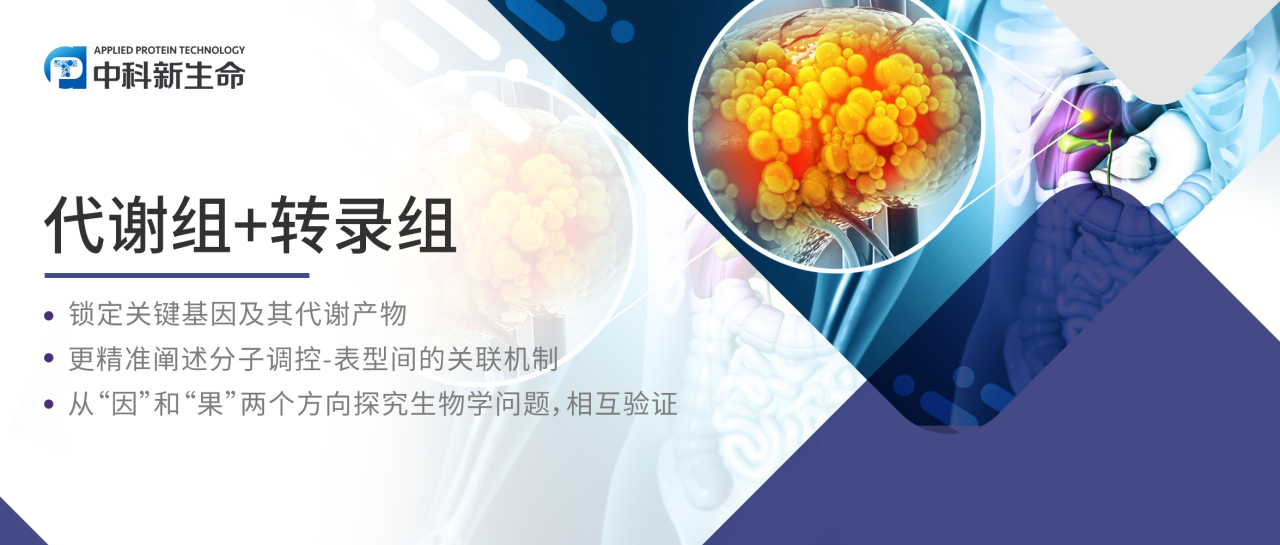 项目文章Advanced Science | 中科大单革教授团队揭秘哺乳动物体内神秘环状RNA ，掌控肝细胞癌转移与脂质代谢的奥秘