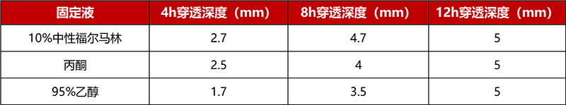 组织湿标本处理流程1-组织样本固定