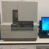玉米品种真实性和纯度SSR分子标记检测试剂盒