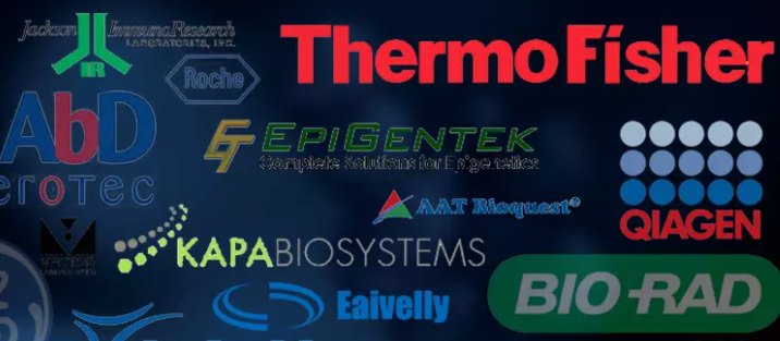 【STR鉴定】SCC-9、SCC-9细胞、SCC-9类鳞状上