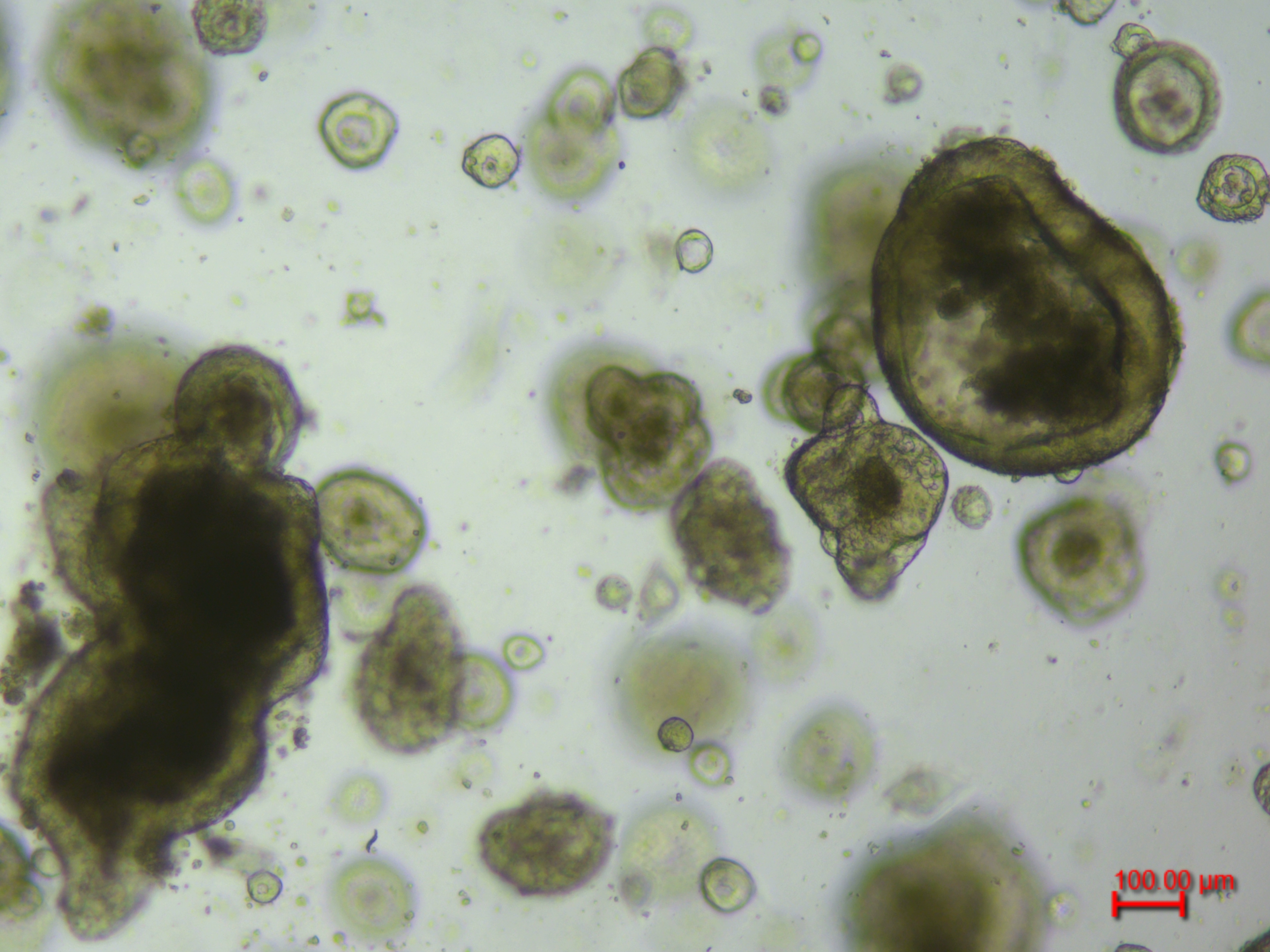 产品细节图片13