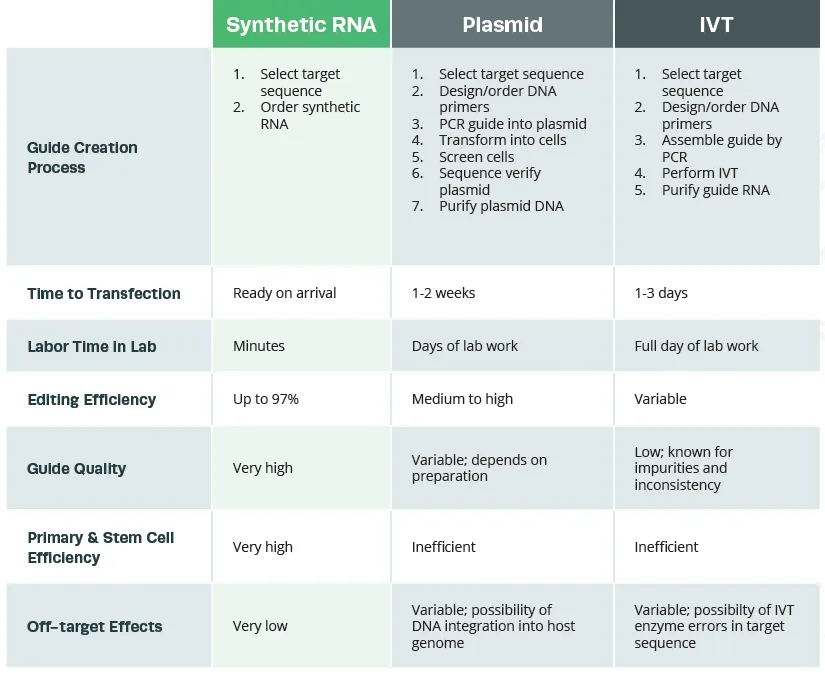Negative Control sgRNA #1