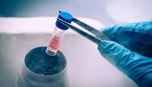 实验干货 | 细胞复苏tips