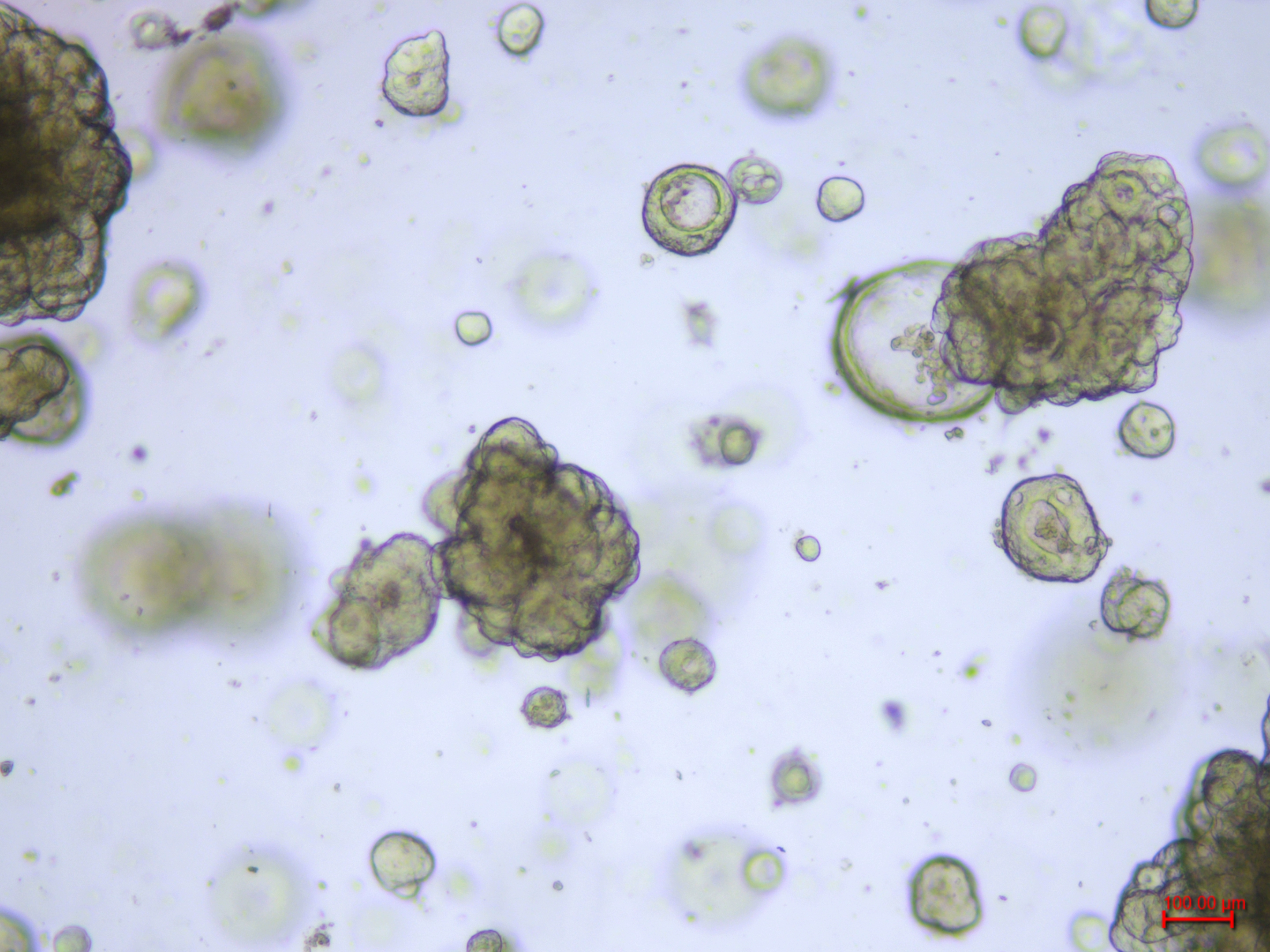 产品细节图片14