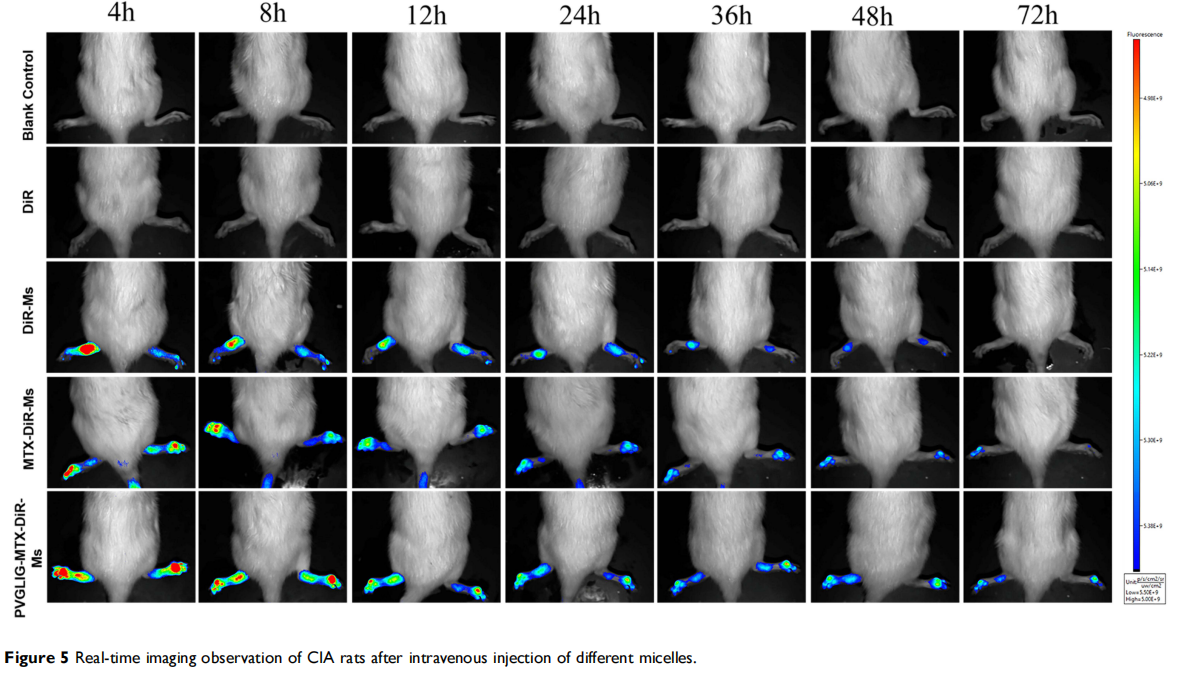 文献速递——微环境酶反应性甲氨蝶呤修饰槲皮素胶束治疗类风湿性关节炎