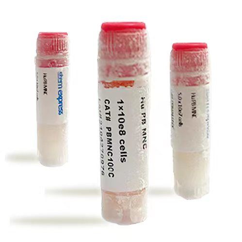 PBMC/健康人PBMC分离服务/外周血单个核细胞