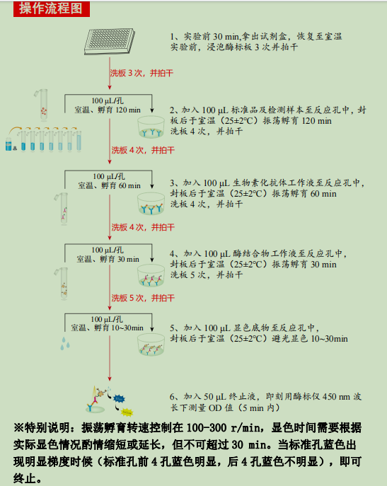 产品细节图片2