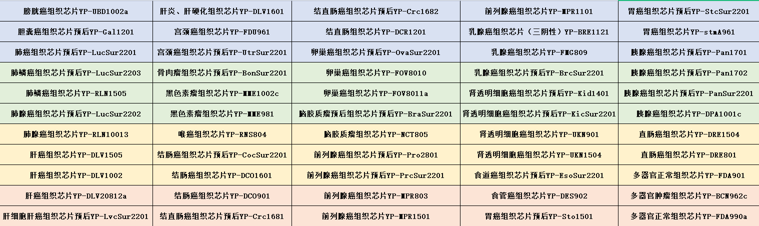 宫颈癌组织芯片