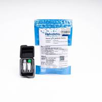 Human PTX 3/TSG-14 Antibody Pair Set抗体对