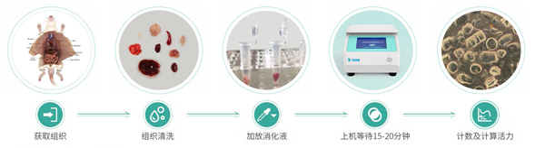 单细胞悬液制备仪(温控型)4WK~48WK