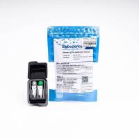 Human BNP Antibody Pair Set抗体对